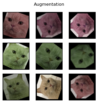 Woong_augmentation