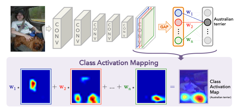 class_activation_map