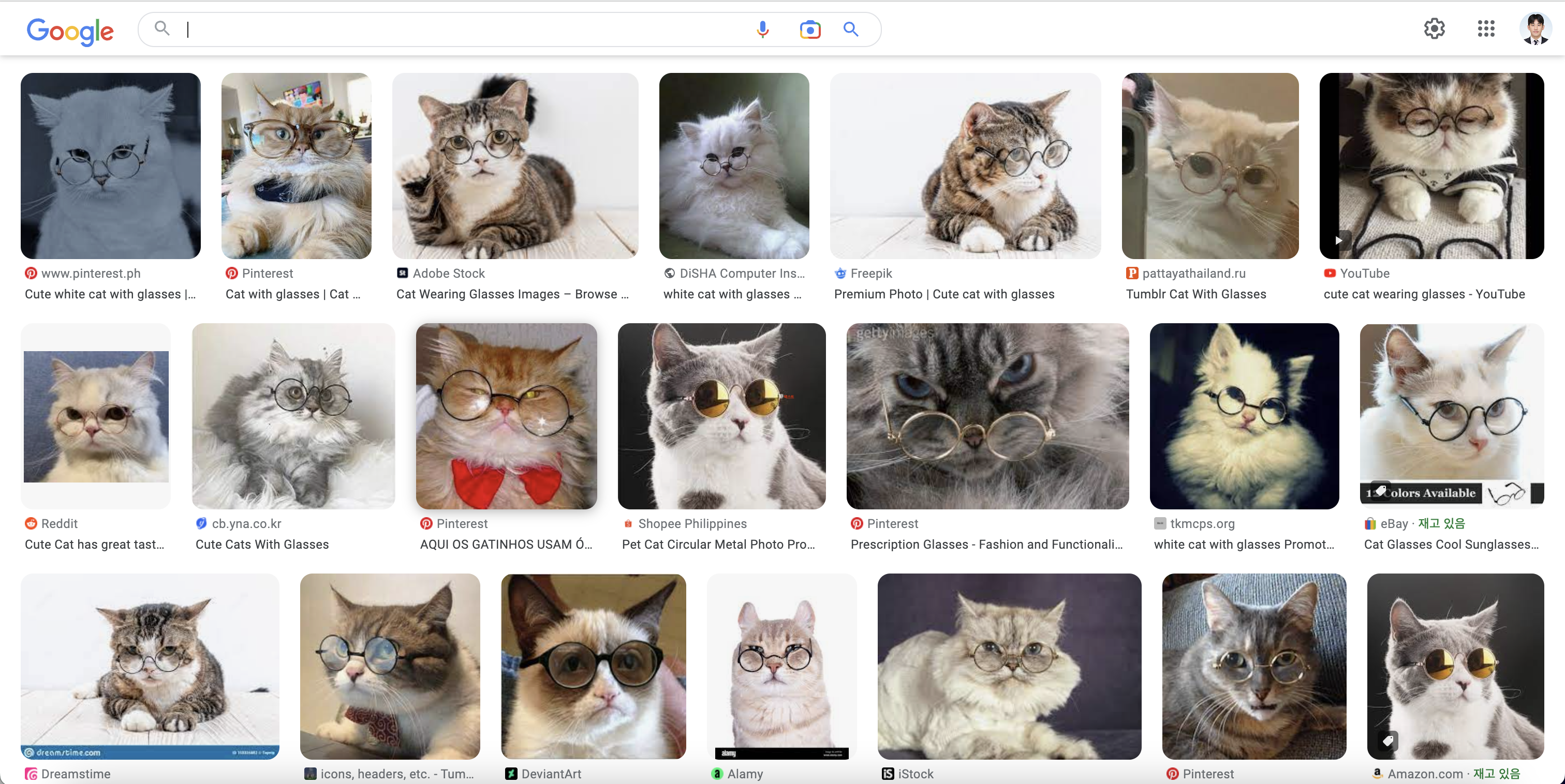 Google cat